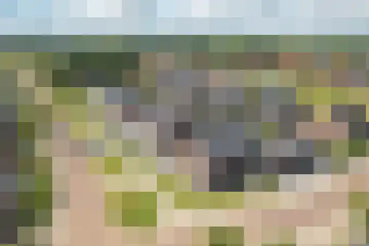 Pastorielaan 24 Joure thumbnail 51