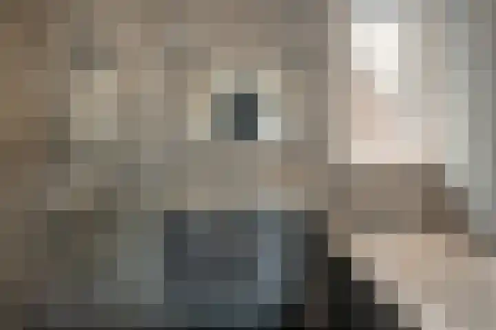 Pastorielaan 24 Joure thumbnail 6