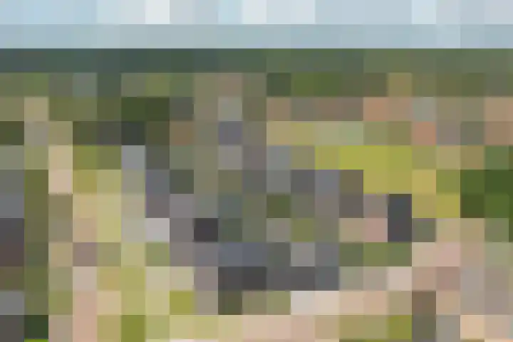 Pastorielaan 24 Joure thumbnail 7
