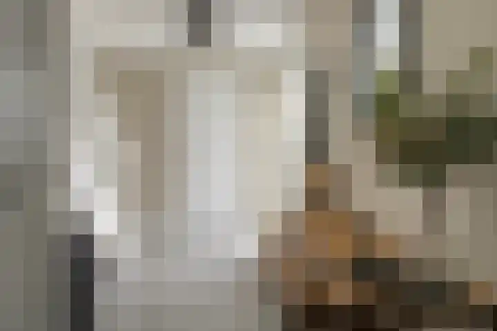 Pastorielaan 26 Joure thumbnail 20