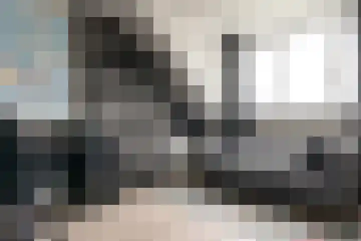 Pastorielaan 26 Joure thumbnail 30