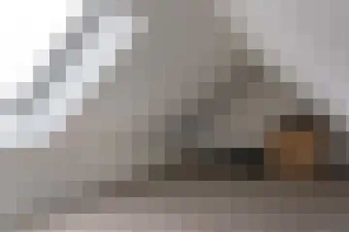 Pastorielaan 26 Joure thumbnail 33