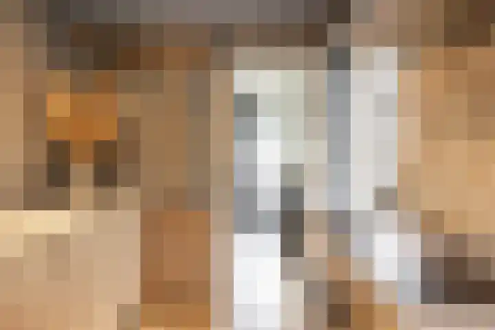 Pastorielaan 29 Holwierde thumbnail 17