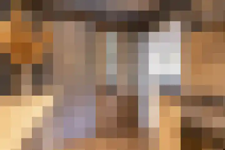 Pastorielaan 29 Holwierde thumbnail 18