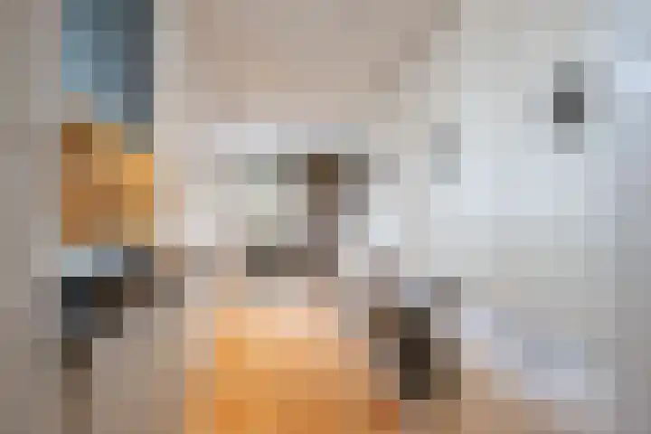 Pastorielaan 29 Holwierde thumbnail 20