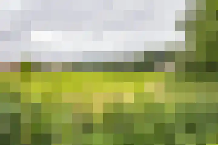 Pastorielaan 29 Holwierde thumbnail 55