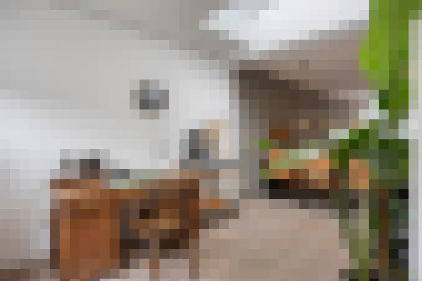 Pastorielaan 4 Veldhoven thumbnail 6