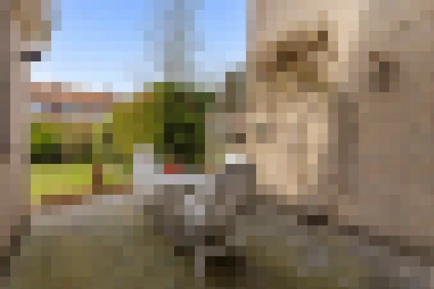 Pastorielaan 44 Veldhoven thumbnail 45