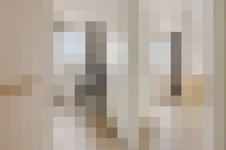 Pastorielaan 68 Joure thumbnail 17
