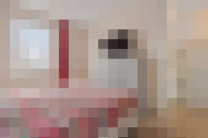 Pastorielaan 68 Joure thumbnail 20