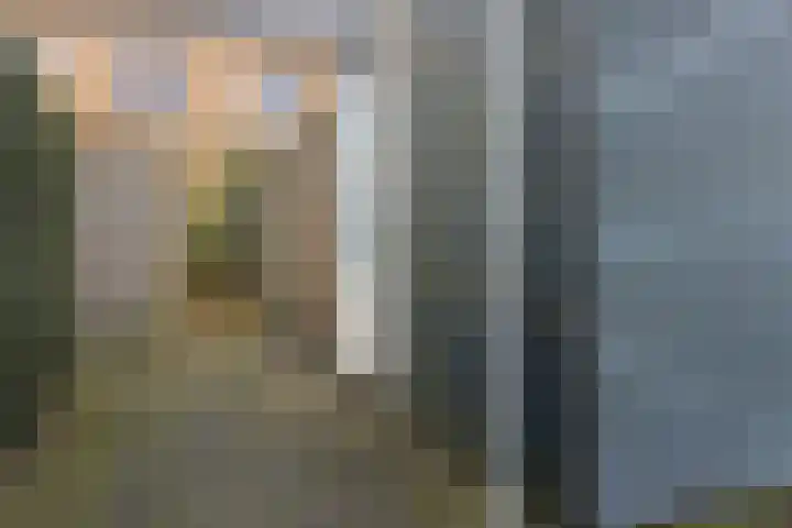 Pastorielaan 68 Joure thumbnail 34