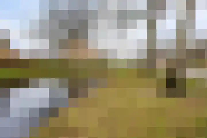 Pastorielaan 68 Joure thumbnail 4