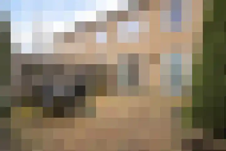 Pastorielaan 68 Joure thumbnail 5