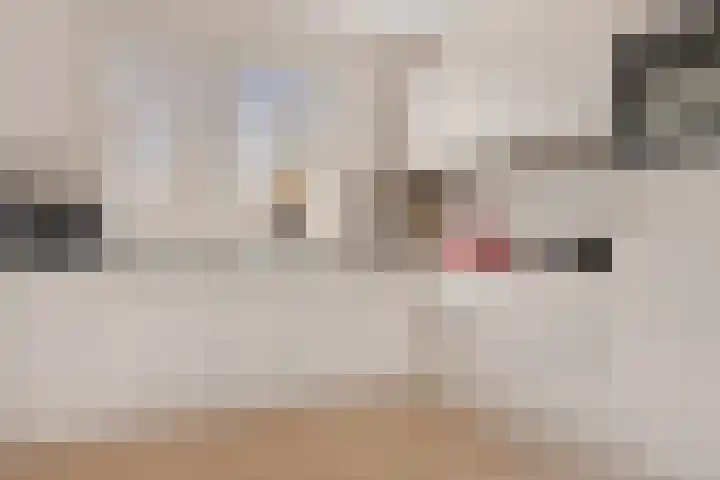 Pastorielaan 68 Joure thumbnail 9