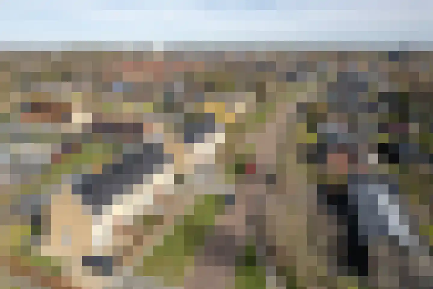 Pastorielaan 76 Joure thumbnail 32