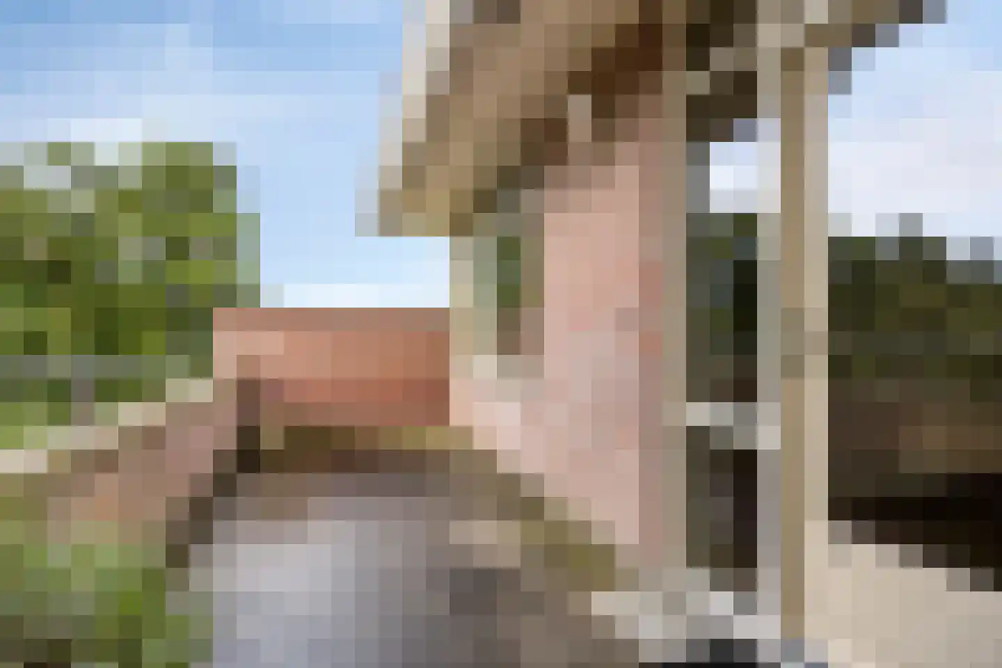 Pastorielaan 8 304 Heerenveen thumbnail 14