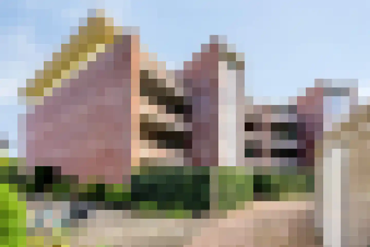 Pastorielaan 8 304 Heerenveen thumbnail 9