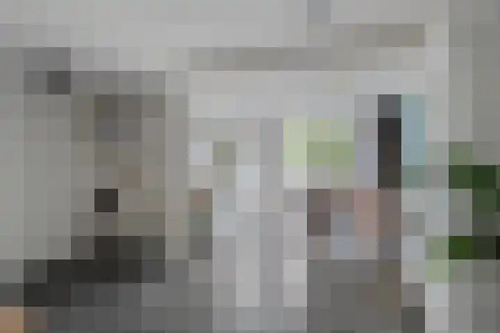 Pastorielaan 8 Veldhoven thumbnail 11