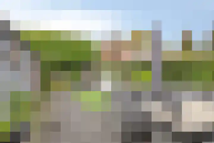 Pastorielaan 8 Veldhoven thumbnail 36