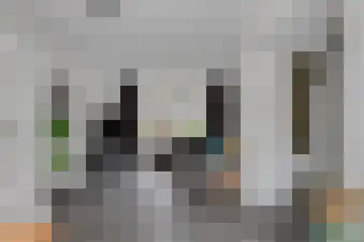 Pastorielaan 8 Veldhoven thumbnail 8