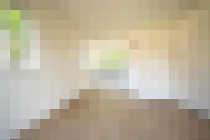 Pastorielanden 20 IJhorst thumbnail 11