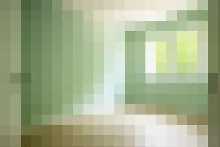 Pastorielanden 20 IJhorst thumbnail 18