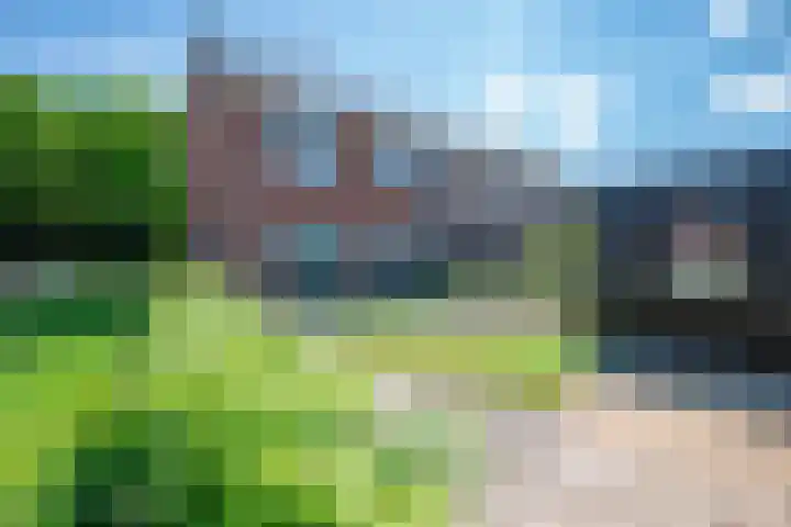 Pastorielanden 20 IJhorst thumbnail 24