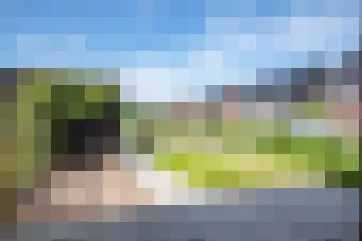 Pastorielanden 20 IJhorst thumbnail 25