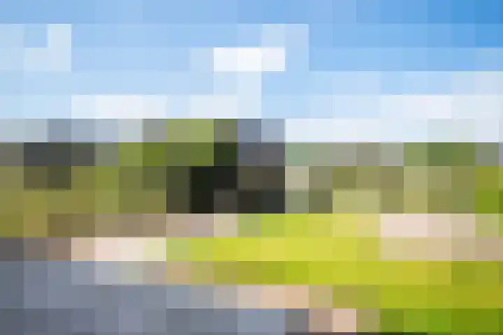 Pastorielanden 20 IJhorst thumbnail 26