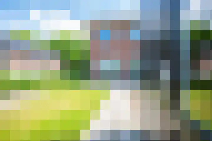 Pastorielanden 20 IJhorst thumbnail 27