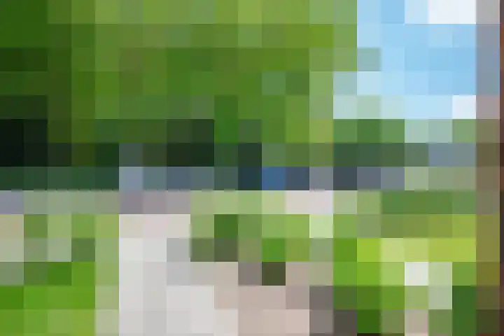 Pastorielanden 20 IJhorst thumbnail 31