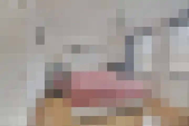 Pastoriepad 29 Hapert thumbnail 10