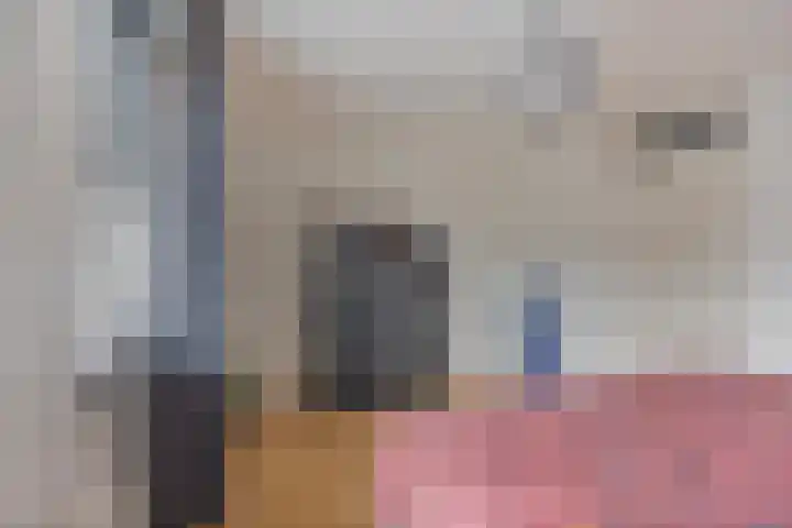 Pastoriepad 29 Hapert thumbnail 11