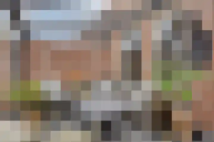 Pastoriepad 29 Hapert thumbnail 17