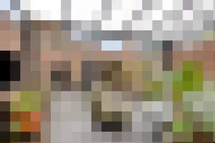 Pastoriepad 29 Hapert thumbnail 18