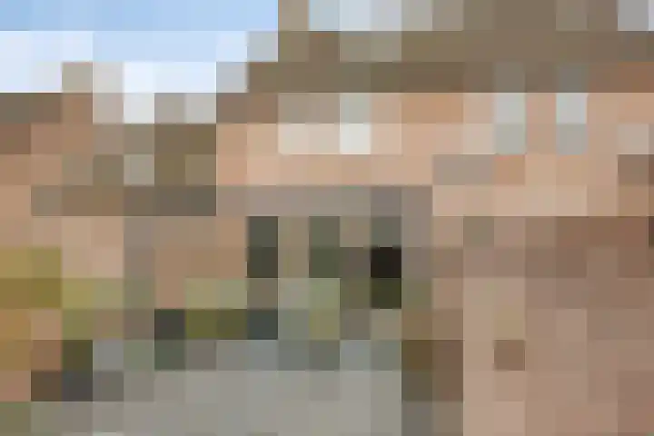 Pastoriepad 29 Hapert thumbnail 21