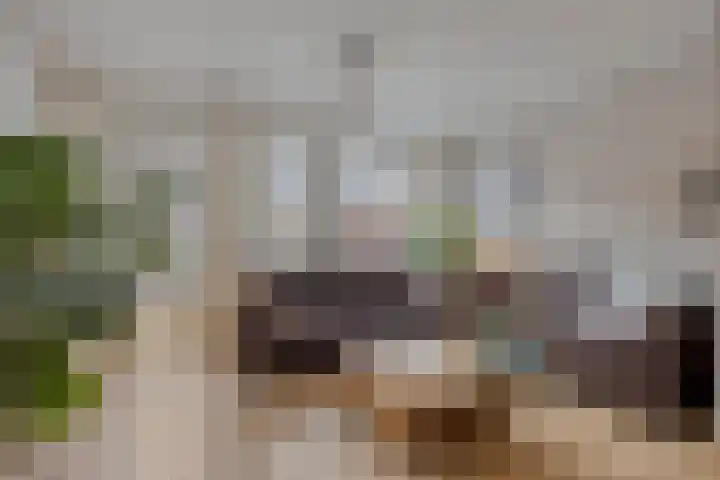 Pastoriepad 29 Hapert thumbnail 5
