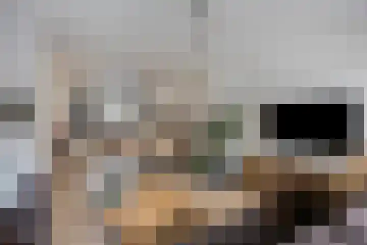 Pastoriepad 29 Hapert thumbnail 6