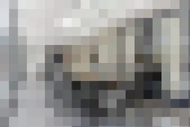 Pastoriepad 39 Hapert thumbnail 18