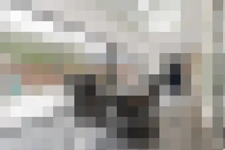 Pastoriepad 39 Hapert thumbnail 19