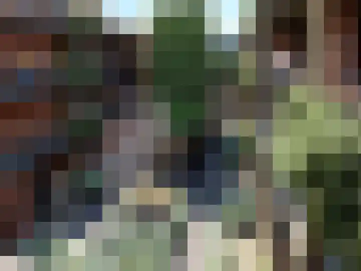Pastorieplein 21 Bodegraven thumbnail 4