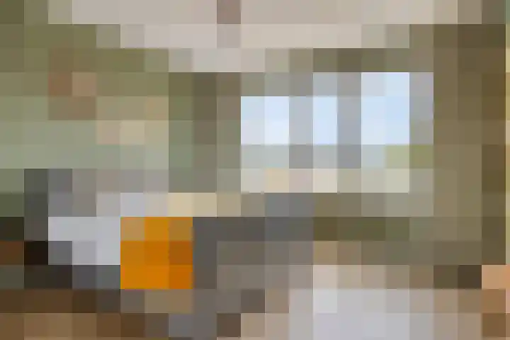Pastoriestraat 103 Eindhoven thumbnail 17