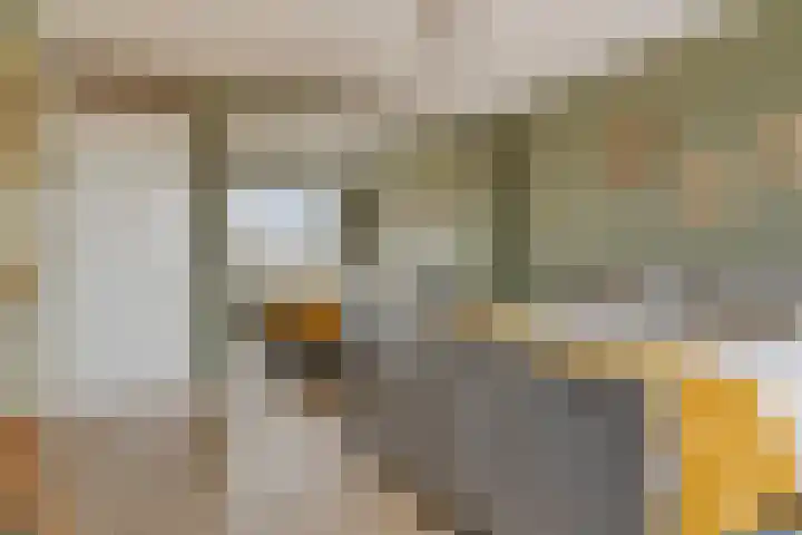 Pastoriestraat 103 Eindhoven thumbnail 18
