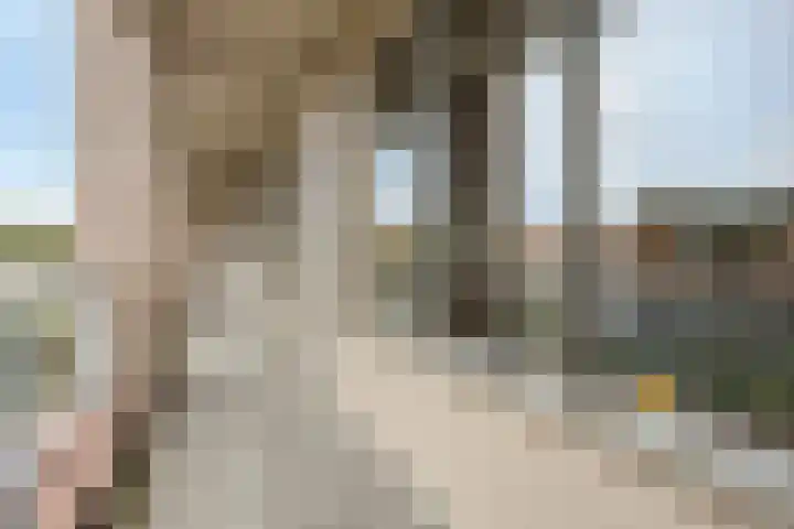 Pastoriestraat 103 Eindhoven thumbnail 25