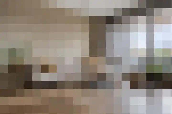 Pastoriestraat 103 Eindhoven thumbnail 4