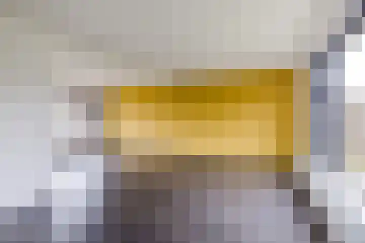 Pastoriestraat 12 Dalfsen thumbnail 11