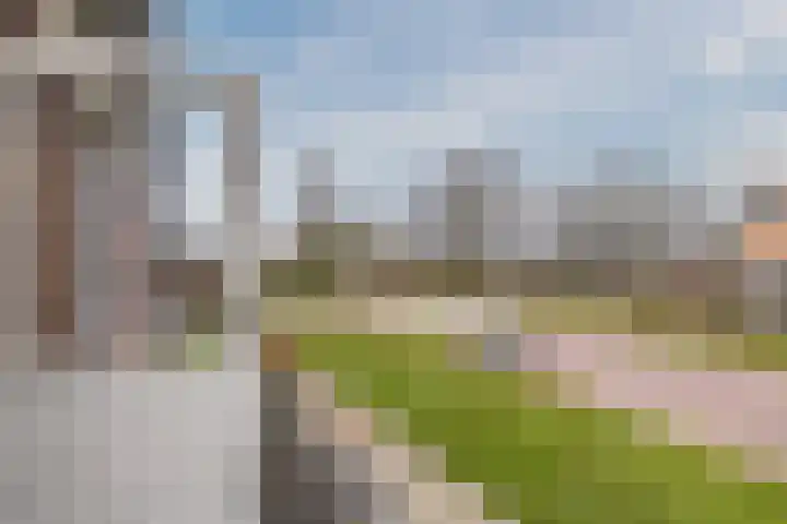 Pastoriestraat 12 Dalfsen thumbnail 35