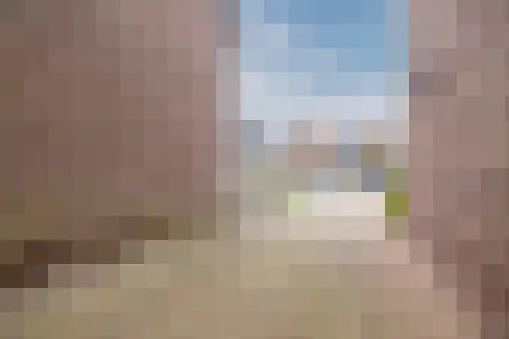 Pastoriestraat 12 Dalfsen thumbnail 43