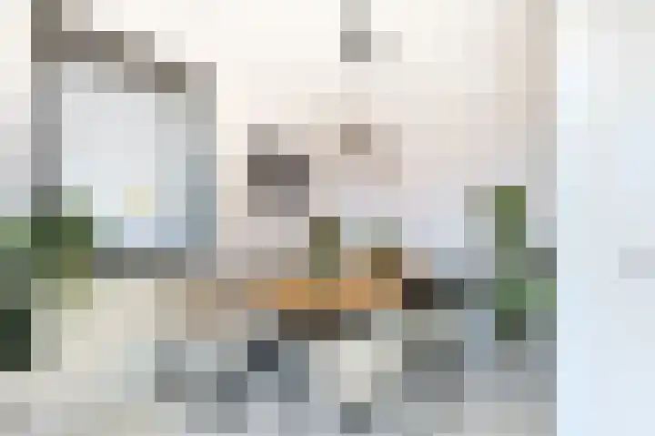 Pastoriestraat 129 Eindhoven thumbnail 22