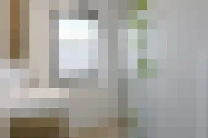 Pastoriestraat 129 Eindhoven thumbnail 28